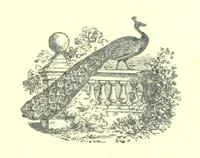 An illustration from The Strange Story at Lee (1887)