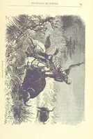 Picture 16 of 115 from Great African Travellers from Mungo Park to Livingstone and Stanley, etc (1874), leaf 105