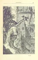 Picture 18 of 115 from Great African Travellers from Mungo Park to Livingstone and Stanley, etc (1874), leaf 119