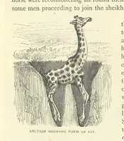 Picture 19 of 115 from Great African Travellers from Mungo Park to Livingstone and Stanley, etc (1874), leaf 120