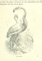 Picture 24 of 115 from Great African Travellers from Mungo Park to Livingstone and Stanley, etc (1874), leaf 149