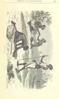 Picture 29 of 115 from Great African Travellers from Mungo Park to Livingstone and Stanley, etc (1874), leaf 175