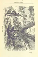 Picture 4 of 115 from Great African Travellers from Mungo Park to Livingstone and Stanley, etc (1874), leaf 23