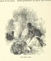 Picture 38 of 115 from Great African Travellers from Mungo Park to Livingstone and Stanley, etc (1874), leaf 234