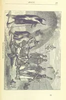 Picture 66 of 115 from Great African Travellers from Mungo Park to Livingstone and Stanley, etc (1874), leaf 341