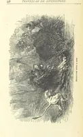 Picture 70 of 115 from Great African Travellers from Mungo Park to Livingstone and Stanley, etc (1874), leaf 358