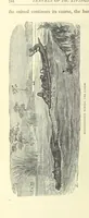 An illustration from Great African Travellers from Mungo Park to Livingstone and Stanley, etc (1874)
