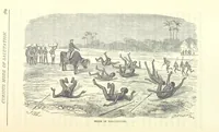 Picture 87 of 115 from Great African Travellers from Mungo Park to Livingstone and Stanley, etc (1874), leaf 409