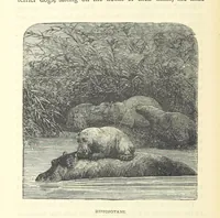 An illustration from Great African Travellers from Mungo Park to Livingstone and Stanley, etc (1874)