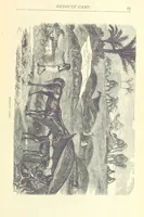 Picture 8 of 115 from Great African Travellers from Mungo Park to Livingstone and Stanley, etc (1874), leaf 43