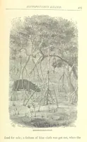 Picture 96 of 115 from Great African Travellers from Mungo Park to Livingstone and Stanley, etc (1874), leaf 435