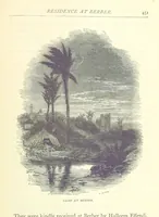 Picture 101 of 115 from Great African Travellers from Mungo Park to Livingstone and Stanley, etc (1874), leaf 471