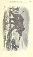 Picture 103 of 115 from Great African Travellers from Mungo Park to Livingstone and Stanley, etc (1874), leaf 483