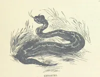 An illustration from Great African Travellers ... By W. H. G. K. and H. Frith (1885)
