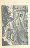 An illustration from Great African Travellers ... By W. H. G. K. and H. Frith (1885)