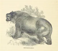 An illustration from Great African Travellers ... By W. H. G. K. and H. Frith (1885)
