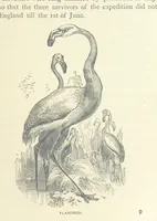 An illustration from Great African Travellers ... By W. H. G. K. and H. Frith (1885)
