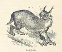 An illustration from Great African Travellers ... By W. H. G. K. and H. Frith (1885)
