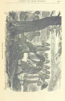 An illustration from Great African Travellers ... By W. H. G. K. and H. Frith (1885)