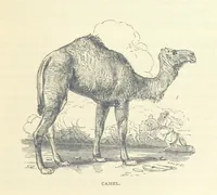 An illustration from Great African Travellers ... By W. H. G. K. and H. Frith (1885)