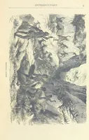 An illustration from Great African Travellers ... By W. H. G. K. and H. Frith (1885)