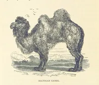 Picture 37 of 115 from Great African Travellers ... By W. H. G. K. and H. Frith (1885), leaf 248