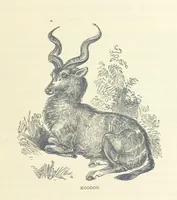 An illustration from Great African Travellers ... By W. H. G. K. and H. Frith (1885)