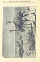 An illustration from Great African Travellers ... By W. H. G. K. and H. Frith (1885)