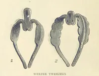 Picture 47 of 115 from Great African Travellers ... By W. H. G. K. and H. Frith (1885), leaf 280