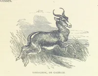 An illustration from Great African Travellers ... By W. H. G. K. and H. Frith (1885)