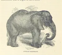 An illustration from Great African Travellers ... By W. H. G. K. and H. Frith (1885)