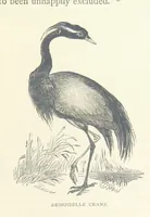 Picture 67 of 115 from Great African Travellers ... By W. H. G. K. and H. Frith (1885), leaf 355