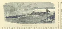 An illustration from Great African Travellers ... By W. H. G. K. and H. Frith (1885)
