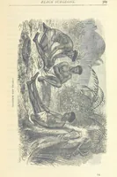 An illustration from Great African Travellers ... By W. H. G. K. and H. Frith (1885)