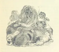 An illustration from Great African Travellers ... By W. H. G. K. and H. Frith (1885)