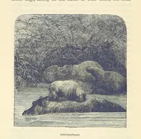An illustration from Great African Travellers ... By W. H. G. K. and H. Frith (1885)