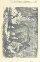 An illustration from Great African Travellers ... By W. H. G. K. and H. Frith (1885)