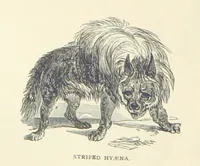 Picture 110 of 115 from Great African Travellers ... By W. H. G. K. and H. Frith (1885), leaf 518