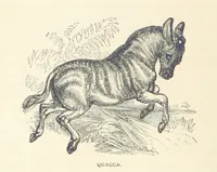 An illustration from Great African Travellers ... By W. H. G. K. and H. Frith (1885)