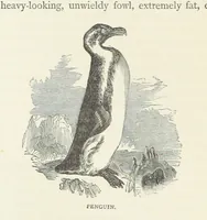 An illustration from Notable Voyagers from Columbus to Nordenskïold. By W. H. G. K. and H. Frith (1885)