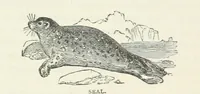 An illustration from Notable Voyagers from Columbus to Nordenskïold. By W. H. G. K. and H. Frith (1885)