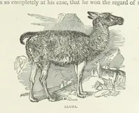 An illustration from Notable Voyagers from Columbus to Nordenskïold. By W. H. G. K. and H. Frith (1885)