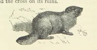 An illustration from Notable Voyagers from Columbus to Nordenskïold. By W. H. G. K. and H. Frith (1885)