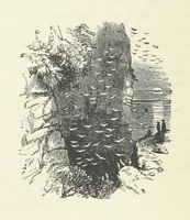 An illustration from Notable Voyagers from Columbus to Nordenskïold. By W. H. G. K. and H. Frith (1885)