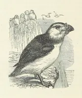 An illustration from Notable Voyagers from Columbus to Nordenskïold. By W. H. G. K. and H. Frith (1885)