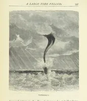 An illustration from Notable Voyagers from Columbus to Nordenskïold. By W. H. G. K. and H. Frith (1885)