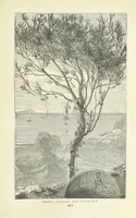 An illustration from Notable Voyagers from Columbus to Nordenskïold. By W. H. G. K. and H. Frith (1885)
