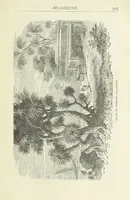 An illustration from Notable Voyagers from Columbus to Nordenskïold. By W. H. G. K. and H. Frith (1885)