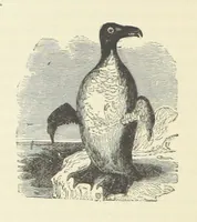 An illustration from Notable Voyagers from Columbus to Nordenskïold. By W. H. G. K. and H. Frith (1885)