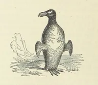 An illustration from Notable Voyagers from Columbus to Nordenskïold. By W. H. G. K. and H. Frith (1885)